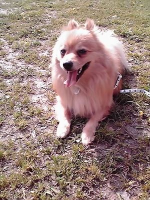 �ȥ饤����