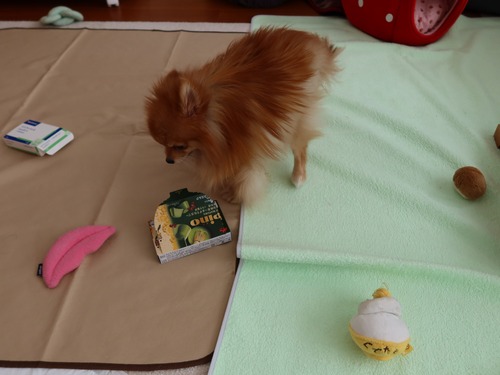 2021(R3)-1-29 �Ρ������ (19)