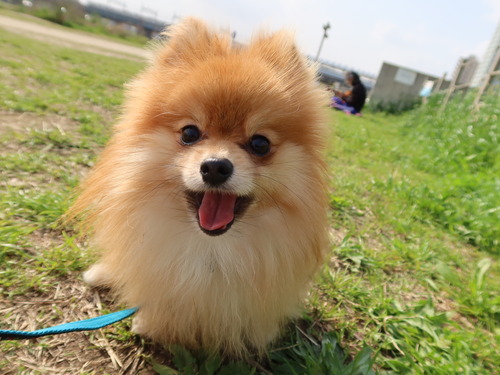 2021(R3)-4-1 ̱Ҷ̻ (34)