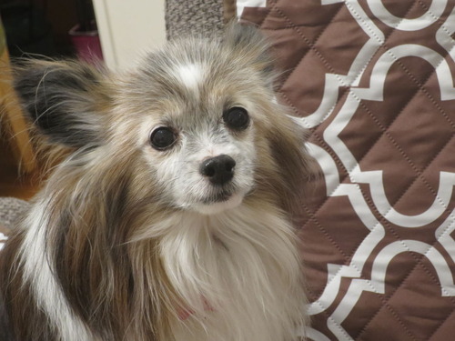 2019(R1)-9-13 ƥ⥽ե˾ (6)