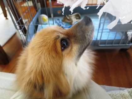 2019(H31)-2-1 いたずらしちゃったけど (5)