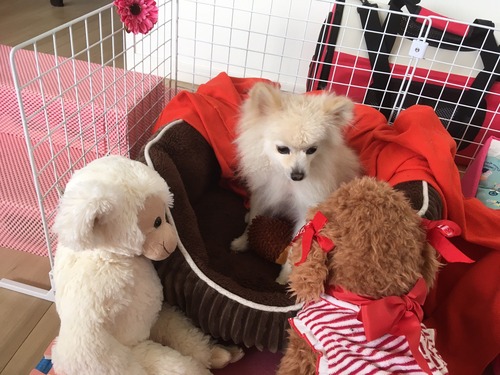 2020(R2)-5-9 �ȥ饤����2���� (1)