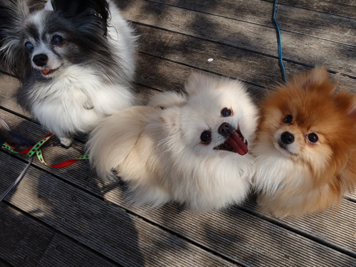 2021(R3)-3-27 3ǯΩκ (66)