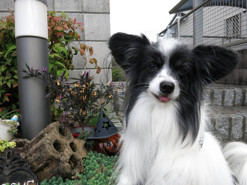 2020(R2)-10-24 Íè·î¤Ç´Ý5ǯ (1)