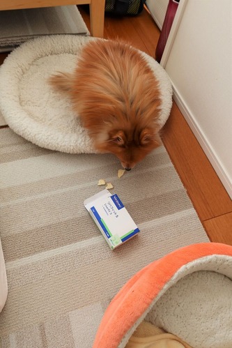 2021(R3)-1-29 �Ρ������ (5)