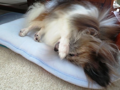 2019(R1)-8-31 Ǽ纮ѥԥ (26)