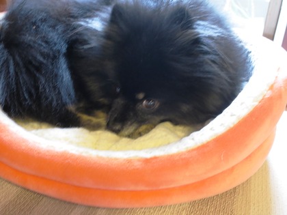 2018(H30)-4-7 ī����Ȥ��θ�Υޥå��� (8)