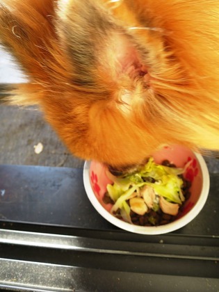 2ÆüÌܤÎÄ« (10)