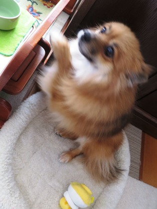 2019(H31)-1-2 退屈だぁ (3)