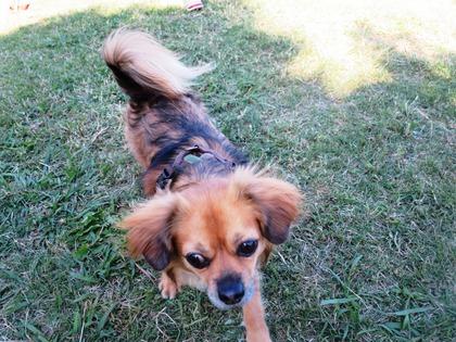 2015(H27)-10-25 第2回卒オフ (250)