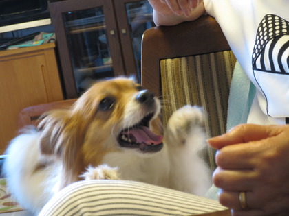 2018(H30)-7-18 İ˥å (17)