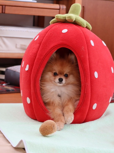 2021(R3)-2-20 Ƥåԡ (7)