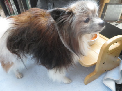 2019(R1)-6-14 朝ご飯モリモリで楽しい外出 (10)