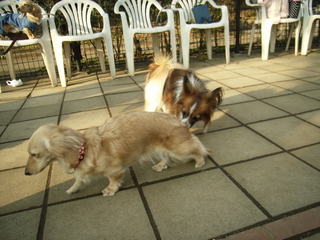 M���å�������