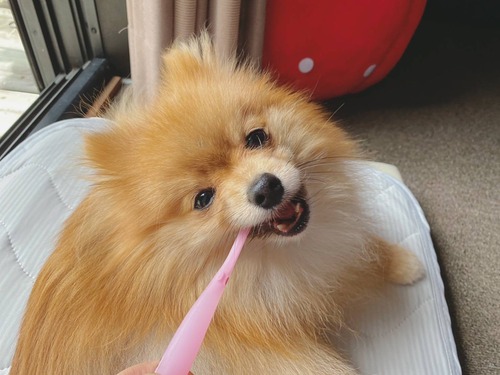 2021(R3)-5-11 通信 (2)