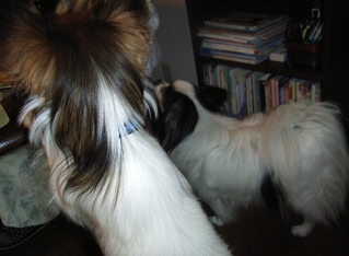 ���Ф������