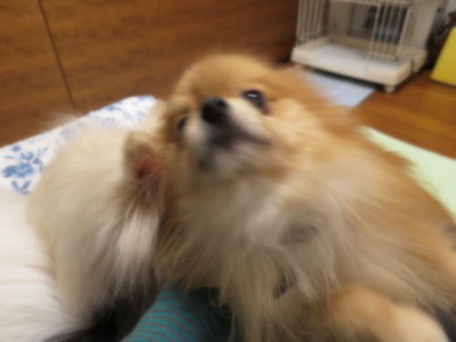 2020(R2)-12-8 ǥե˾äƤߤ (2)