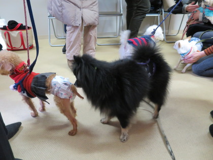 2018(H30)-1-20 第36会巣鴨里親会 (3)