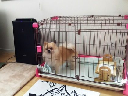 170724 01 トライアル5日目