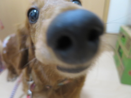 2018(H30)-4-14 ������Τ�Ʋ� ���������