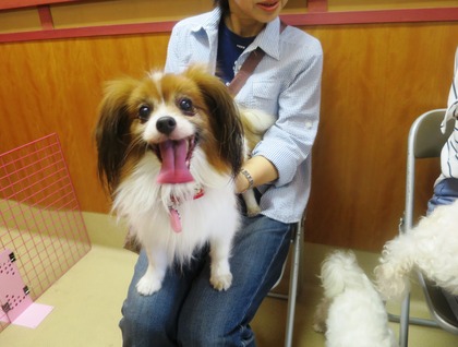 2014(H26)-7-19 ���Τ�Ʋ� (2)