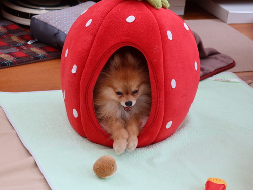 2021(R3)-2-20 Ƥåԡ (5)