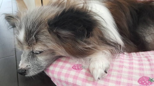 2019-9-25 トライアル中 (2)