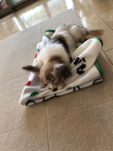 2020-9-28 01 トライアル2日目