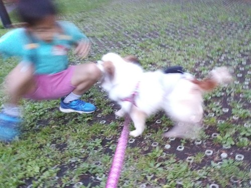 2021(R3)-5-4 ��̱�����ѥ��ˤ� (1)