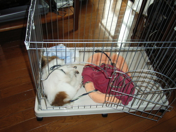 ������05