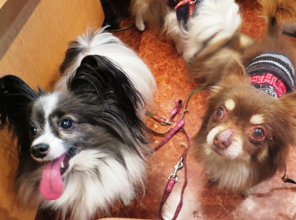 2015(H27)-2-14 �����Τ�Ʋ�θ�� (8)