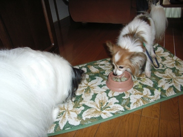 �������ʡ�01