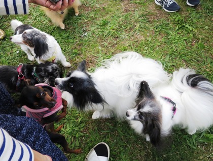 2017-11-3 卒オフ会 (48)