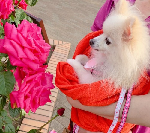 2020(R2)-5-15 �ȥ饤����8���� (2)