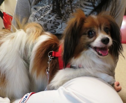 2014-5-10 ��å����ȥ饤����Ʊȼ (13)