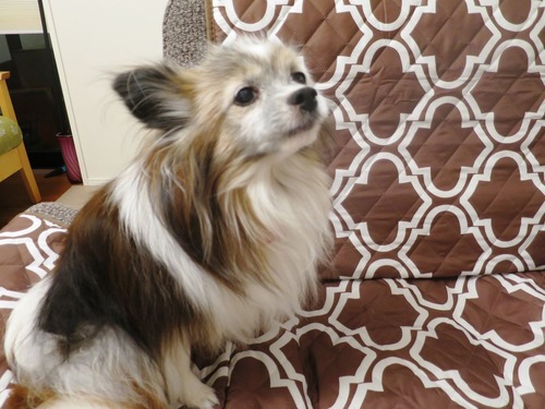 2019(R1)-9-13 ƥ⥽ե˾ (2)