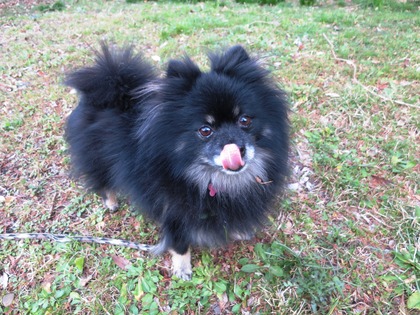 2018(H30)-3-12 春が来てるね! (32)