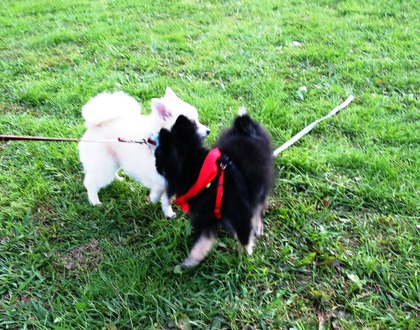 2017-11-3 卒オフ会 (30)