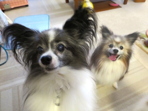 2019(R1)-7-20 �嵐������������ޥޤΥ���Ĥ��� (14)