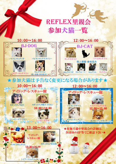 Τ�Ʋ������