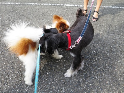 2017(H29)-8-22 ī���� (2)