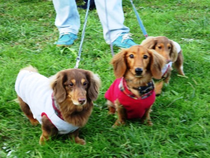 2017-11-3 卒オフ会 (40)