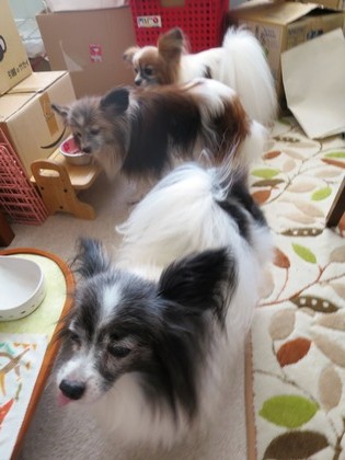 2019(R1)-8-31 Ǽ纮ѥԥ (13)