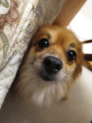 2019(H31)-2-9 傍に居たいの (3)