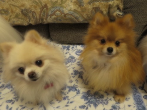 2020(R2)-12-8 ǥե˾äƤߤ (15)