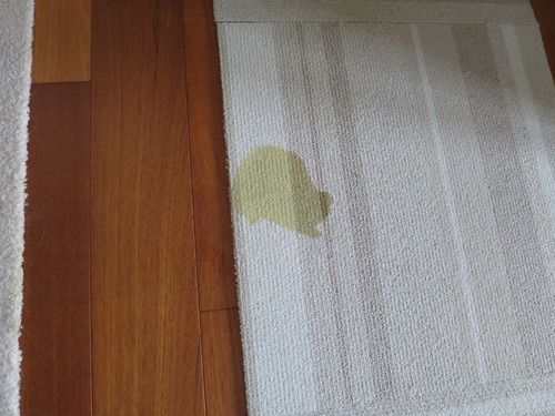 2020(R2)-11-5 ミルキーの修行 (2)