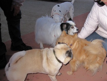 �ȥ饤��������