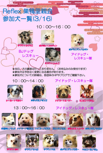 3月里親会参加犬