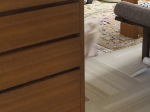 2020(R2)-4-2 ³�Ԥ�����ʤ����� (7)