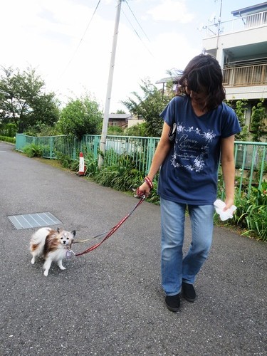 テオの巣立ちの日 (7)